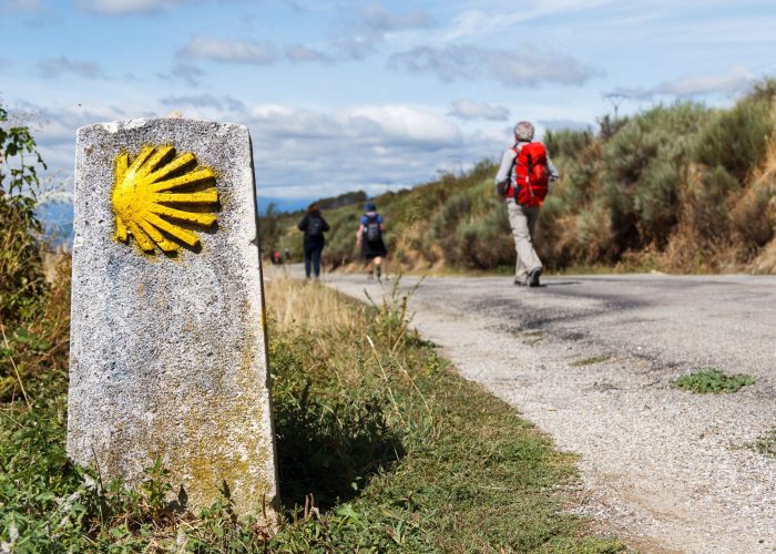 camino camino